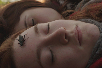 <b>bir-vampir-hikayesi</b>