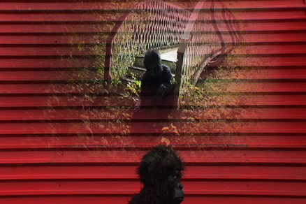 <b>Sinemanın Hikayesii</b>