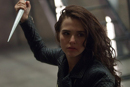 <b>vampir-akademisi</b>